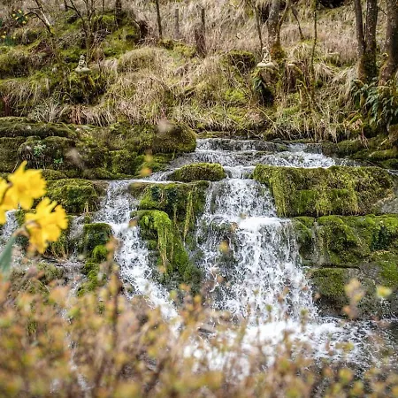 The Waterfall Retreat